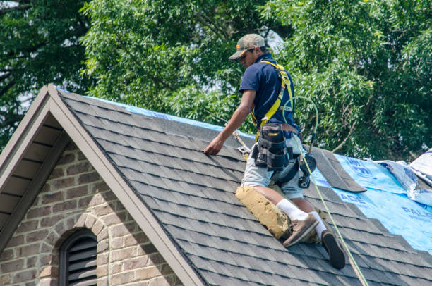 Best Gutter Installation and Roofing  in Rutherford, TN